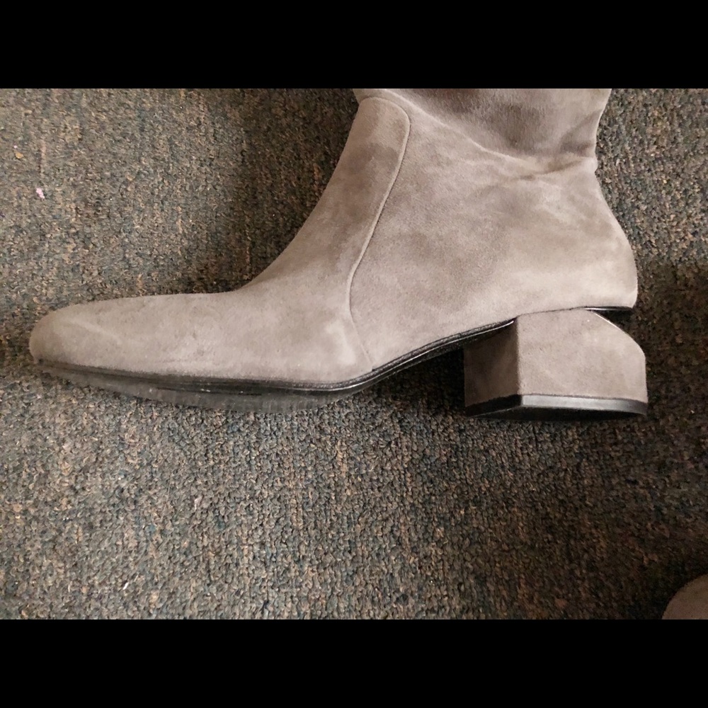Alexander wang boots
